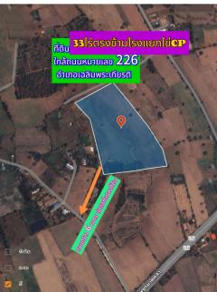 ขายที่ดิน อำเภอเฉลิมพระเกียรติ จังหวัดนครราชสีมา ใกล้ถนนเพชรมาตุคลาตรงข้ามโรงแยกไข่ซีพี  -202506230742011750639321633.jpg