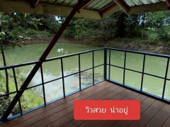 ขายบ้านพร้อมที่ดิน เนื้อที่10ไร่ อ.เพ็ญ จ.อุดรธานี -202506231048151750650495569.jpg