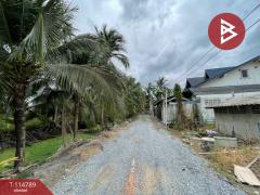 ขายที่ดิน เนื้อที่ 3 งาน สามพราน นครปฐม-202506231325521750659952972.jpg