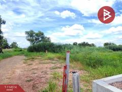 ขายที่ดิน เนื้อที่ 2 ไร่ 3 งาน 94 ตร.วา คลองหลวง ปทุมธานี-202506231511211750666281967.jpg