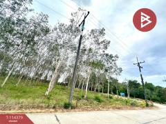 ขายที่ดิน เนื้อที่ 8 ไร่ 1 งาน 77 ตร.วา มะขาม จันทบุรี-202506231546041750668364255.jpg