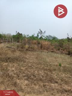 ขายที่ดิน 2 ไร่ จอมบึง ราชบุรี-202506231649231750672163667.jpg