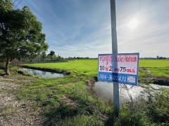 ขายด่วน ที่ดิน อยุธยา บางไทร บ้านกลึง-202506241034401750736080208.jpg