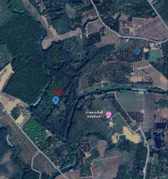  ที่ดินบ่อไร่ ตราด 103 ไร่-202506241321081750746068797.jpg