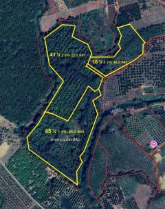  ที่ดินบ่อไร่ ตราด 103 ไร่-202506241321091750746069914.jpg