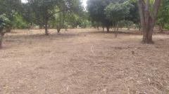 ขายที่ดินพร้อมสิ่งปลูกสร้าง เนื้อที่ 6-1-34 ไร่ ซอยสถานีตำรวจภูธรหนองสาหร่าย  ถนน ทล.2235 ตำบลหนองสาหร่าย อำเภอปากช่อง จังหวัดนครราชสีมา