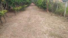 ขายที่ดินพร้อมสิ่งปลูกสร้าง เนื้อที่ 6-1-34 ไร่ ซอยสถานีตำรวจภูธรหนองสาหร่าย  ถนน ทล.2235 ตำบลหนองสาหร่าย อำเภอปากช่อง จังหวัดนครราชสีมา-202506241528571750753737693.jpg