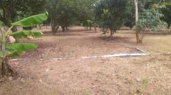 ขายที่ดินพร้อมสิ่งปลูกสร้าง เนื้อที่ 6-1-34 ไร่ ซอยสถานีตำรวจภูธรหนองสาหร่าย  ถนน ทล.2235 ตำบลหนองสาหร่าย อำเภอปากช่อง จังหวัดนครราชสีมา-202506241529011750753741769.jpg