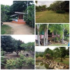 ขายที่ดินพร้อมสิ่งปลูกสร้าง เนื้อที่ 6-1-34 ไร่ ซอยสถานีตำรวจภูธรหนองสาหร่าย  ถนน ทล.2235 ตำบลหนองสาหร่าย อำเภอปากช่อง จังหวัดนครราชสีมา-202506241529081750753748924.jpg