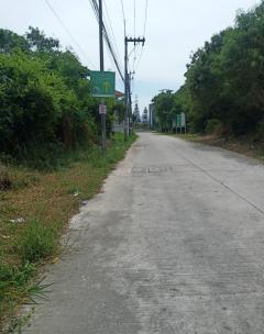 ขายที่ดินถมแล้ว 60 ตรว. ใกล้จุดเชื่อมต่อใหม่ มอเตอร์เวย์สาย 7 ใกล้สถานีรถไฟฟ้า เข้าได้ทั้งซอยห้วยกะปิ 12 , 13 และ 16  ต.ห้วยกะปิ อ.เมือง จ.ชลบุรี -202506241533211750754001659.jpg