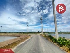 ขายที่ดิน เนื้อที่ 9 ไร่ 3 งาน 31 ตร.วา บางปะกง ฉะเชิงเทรา-202506241608021750756082342.jpg