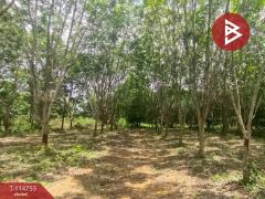 ขายที่ดิน เนื้อที่ 17 ไร่ 1 งาน สอยดาว จันทบุรี