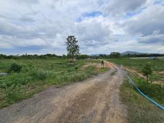 ขายที่ดินห้วยไม้เต็ง  ทำเลดี ที่ดินแปลงสวย อำเภอจอมบึง จังหวัดราชบุรี -202506251059311750823971850.jpg