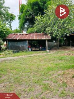 ขายบ้านเดี่ยว เนื้อที่ 2 งาน 33 ตร.วา ปากท่อ ราชบุรี-202506251152081750827128437.jpg