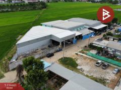 ขายอาคารสำนักงานออฟฟิศ พร้อมโกดัง บางบัวทอง นนทบุรี-202506251215311750828531488.jpg