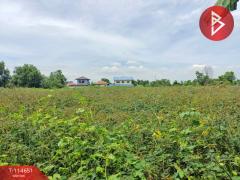 ขายที่ดิน เนื้อที่ 90 ตร.วา หนองจอก กรุงเทพมหานคร-202506251221321750828892526.jpg