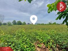 ขายที่ดิน เนื้อที่ 90 ตร.วา หนองจอก กรุงเทพมหานคร-202506251221331750828893856.jpg