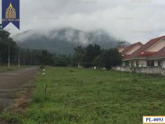 ขายทั้งโครงการ อิงดอย ลำพูน พื้นที่ 51 ไร่ พร้อมบ้านเดี่ยวหลายหลัง-202506251358031750834683079.jpg