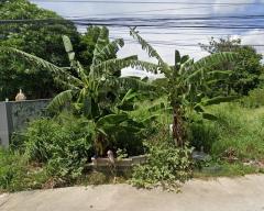 ขายที่ดินเปล่า ซอยชัยพรวิถี-หนองใหญ่ 3 เนื้อที่ 7 ไร่  ถนนเลียบทางรถไฟ ตำบลเมืองพัทยา อำเภอบางละมุง จังหวัดชลบุรี