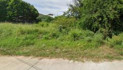 ขายที่ดินเปล่า ซอยชัยพรวิถี-หนองใหญ่ 3 เนื้อที่ 7 ไร่  ถนนเลียบทางรถไฟ ตำบลเมืองพัทยา อำเภอบางละมุง จังหวัดชลบุรี-202506251407191750835239483.jpg