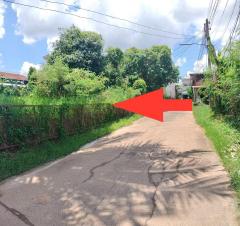 ที่ดิน เสลภูมิ จ.ร้อยเอ็ด-202506251411291750835489806.jpg