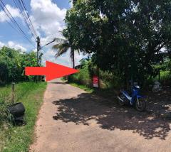 ที่ดิน เสลภูมิ จ.ร้อยเอ็ด-202506251411301750835490414.jpg