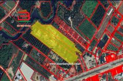 ที่ดินถมแล้ว เนื้อที่ 21-0-57 ไร่ ซอยเทศบาลทุ่งควายกิน(ระยอง) ถนนสุขุมวิท ต.ทุ่งควายกิน อ.แกลง จ.ระยอง-202506251421561750836116103.jpg