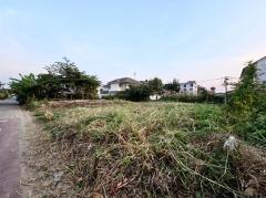 ขายที่ดินถมแล้ว 100 ตร.วา ตรงข้ามโรงเรียนอนุบาล ยุวมิตร เพชรเกษม 77 แยก 4-7 ถนนสวัสดิการ 2 ซอย 10 เขตหนองแขม ใกล้บิ๊กซี โฮมโปร โรงพยาบาลวิชัยเวช หนองแขม-202506251441351750837295069.jpg