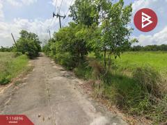 ขายที่ดิน เนื้อที่ 2 ไร่ 85 ตร.วา หนองจอก กรุงเทพมหานคร-202506251451381750837898110.jpg