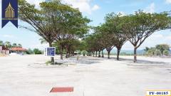 ขายที่ดินพร้อมโรงงาน 130 ไร่ ปราจีนบุรี-202506251508171750838897466.jpg