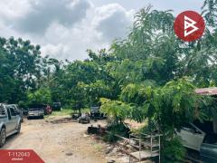 ขายที่ดิน เนื้อที่ 1 ไร่ ต.หนองฉาง อ.หนองฉาง จ.อุทัยธานี ติดถนน 4 เลน-202506251605031750842303804.jpg