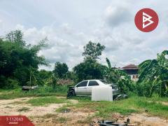 ขายที่ดิน เนื้อที่ 1 ไร่ ต.หนองฉาง อ.หนองฉาง จ.อุทัยธานี ติดถนน 4 เลน-202506251605051750842305240.jpg