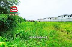ที่ดินถมแล้ว หมู่บ้าน ฟ้าใหม่ เนื้อที่ 2-0-70 ไร่ ถนนราชพฤกษ์ ต.คลองข่อย อ.ปากเกร็ด จ.นนทบุรี-202506251647571750844877413.jpg