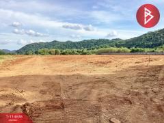 ขายที่ดิน เนื้อที่ 4 ไร่ พัฒนานิคม ลพบุรี-202506251659271750845567726.jpg