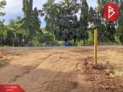 ขายที่ดิน เนื้อที่ 4 ไร่ พัฒนานิคม ลพบุรี-202506251659291750845569624.jpg