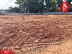 ขายที่ดิน เนื้อที่ 4 ไร่ พัฒนานิคม ลพบุรี-202506251659301750845570668.jpg