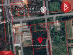 ขายที่ดิน เนื้อที่ 4 ไร่ พัฒนานิคม ลพบุรี-202506251659331750845573489.jpg