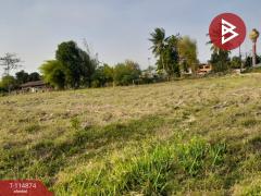 ขายที่ดิน เนื้อที่ 2 ไร่ 2 งาน 88.9 ตร.วา คอนสวรรค์ ชัยภูมิ