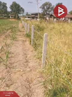 ขายที่ดิน เนื้อที่ 2 ไร่ 2 งาน 88.9 ตร.วา คอนสวรรค์ ชัยภูมิ-202506251700091750845609882.jpg