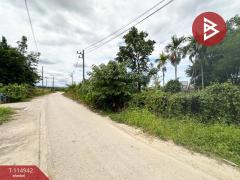 ขายที่ดิน เนื้อที่ 2 ไร่ 2 งาน 44.5 ตร.วา สันผีเสื้อ เชียงใหม่-202506251709101750846150544.jpg