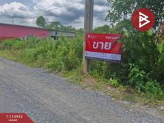 ขายที่ดิน เนื้อที่ 2 งาน หนองจอก กรุงเทพมหานคร-202506251739121750847952198.jpg