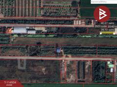 ขายที่ดิน เนื้อที่ 2 งาน หนองจอก กรุงเทพมหานคร-202506251739171750847957467.jpg