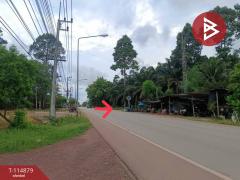 ขายที่ดิน เนื้อที่ 2 งาน นายายอาม จันทบุรี-202506251741541750848114292.jpg