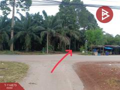 ขายที่ดิน เนื้อที่ 2 งาน นายายอาม จันทบุรี-202506251741541750848114842.jpg