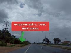 ขายด่วน..ขายบ้านพร้อมที่ดินริมถนนมิตรภาพ ในเมืองอุดรธานี -202506252125001750861500056.jpg