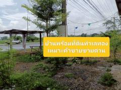 ขายด่วน..ขายบ้านพร้อมที่ดินริมถนนมิตรภาพ ในเมืองอุดรธานี -202506252125031750861503256.jpg