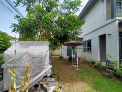 บ้านเดี่ยวพร้อมเข้าอยู่ มีบริเวณ โครงการดี นนทบุรี ใกล้ศาลายา     -202506260108231750874903487.jpg