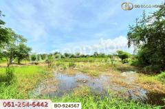 BO-924567 ที่ดินบ้านใหม่ 9 ไร่ 237 ตร.ว. นครราชสีมา ใกล้ที่ว่าการอำเภอครบุรี-202506261209451750914585387.jpg
