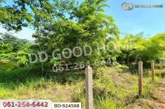 BO-924568 ที่ดินโนนไทย 17 ไร่ 142 ตร.ว. นครราชสีมา ใกล้โลตัส โนนไทย-202506261300301750917630732.jpg