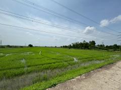 ขายที่ดิน เนื้อที่ 100 ไร่เศษ อ.วังน้อย จังหวัดพระนครศรีอยุธยา